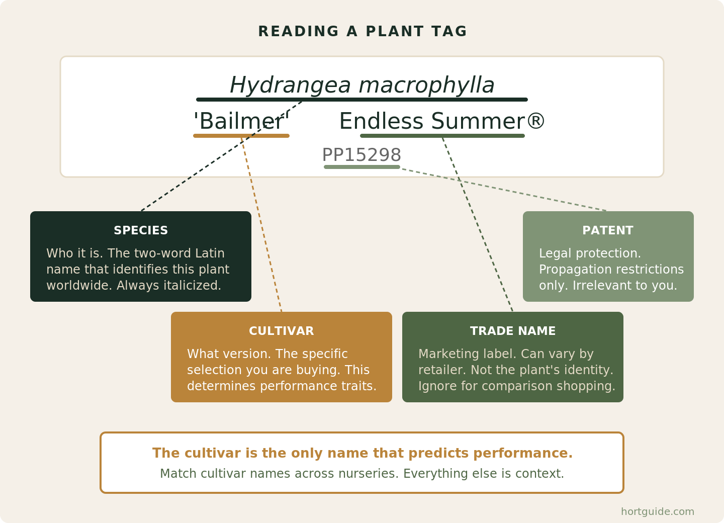 Reading a plant tag: the four naming elements broken down
